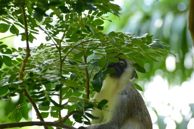 DSC_7910 (Large).JPG